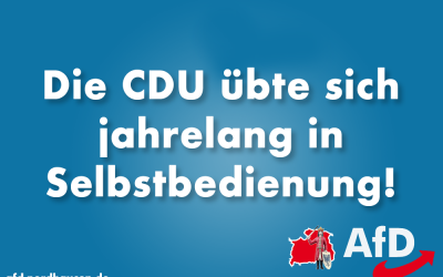 CDU-Fraktion im Thüringer Landtag wirft den Linken Selbstbedienung vor